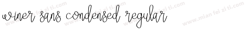 winer sans condensed regular字体转换
